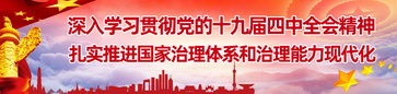 深入学习贯彻党的十九届四中全会精神 扎实推进国家治理体系和治理能力现代化